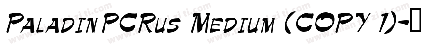 PaladinPCRus Medium (COPY 1)字体转换